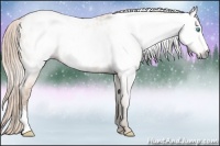 Horse Color:Gray Perlino Near Leopard 
