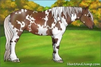 Horse Color:White Spotted Silver Brown 