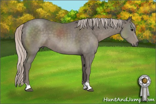 Horse Color: Silver Black Sabino 