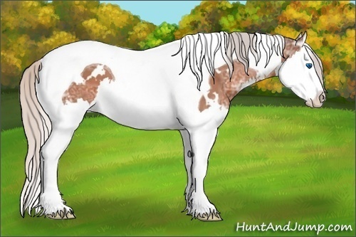 Horse Color: White Spotted Silver Bay Ice Splash Tobiano 