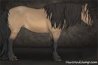 Horse Color:Brown Dun
