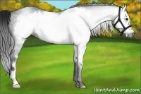 Horse Color:Gray Black Frame 