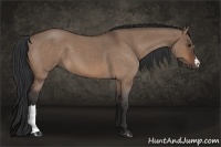Horse Color:Bay Roan Dun 