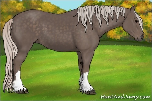 Horse Color:Silver Black 