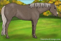 Horse Color:Silver Black 
