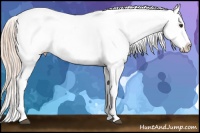 Horse Color:Palomino Ice Tobiano Varnish 