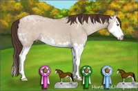 Horse Color:Classic Champagne Ice Dun Sabino Splash 