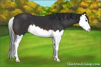 Horse Color:Brown Splash 