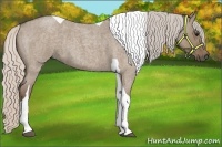 Horse Color:Silver Grullo Roan Tobiano