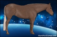 Horse Color:Silver Black 