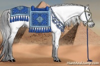 Horse Color:Gray Black 
