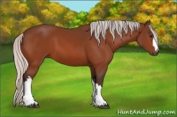 Horse Color:Silver Bay 