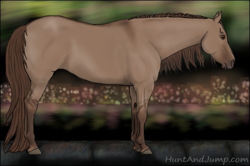 Horse Color: Liver Red Dun 