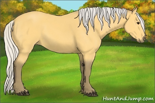 Horse Color: Silver Buckskin 