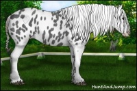 Horse Color:Blue Roan Blanket 
