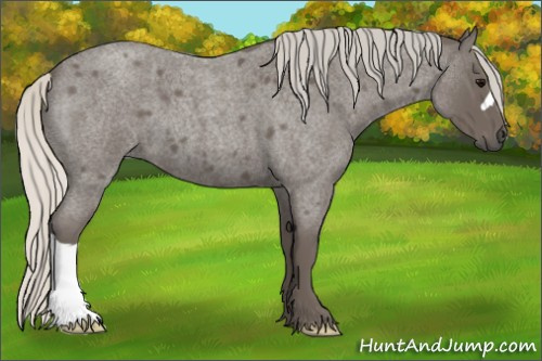 Horse Color: Silver Smoky Blue Roan 