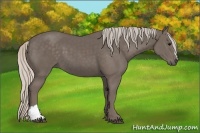 Horse Color:Silver Black 