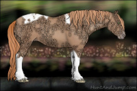 Horse Color:Gold Champagne Ice Tobiano 