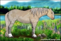 Horse Color:Silver Bay Ice Dun Sabino 