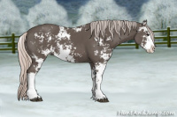 Horse Color:Silver Black Sabino 