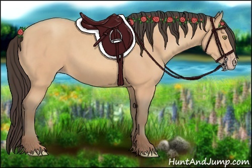 Horse Color:Amber Champagne 