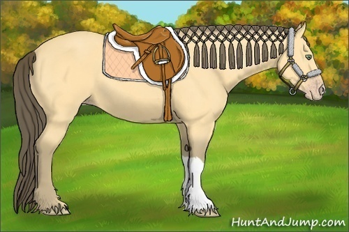 Horse Color:Amber Cream Champagne 