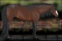 Horse Color:Brown 