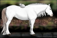 Horse Color:Red Roan Blanket 