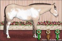 Horse Color:Amber Champagne Dun Sabino Frame Rabicano 