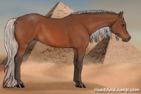 Horse Color:Silver Bay 