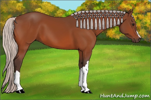 Horse Color:Silver Bay 