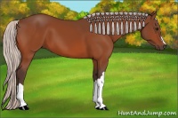 Horse Color:Silver Bay 