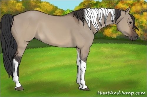 Horse Color: Brown Dun Tobiano 