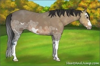 Horse Color:Bay Ice Splash Frame 