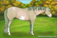 Horse Color:Watercolor Buckskin Pearl Splash Frame 