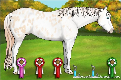 Horse Color: Classic Champagne Pearl Dun Splash Blanket Rabicano 
