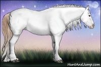 Horse Color:Chestnut Blanket 
