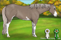 Horse Color:Silver Grullo Sabino