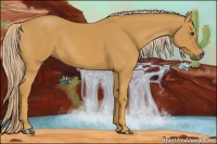Horse Color:Palomino