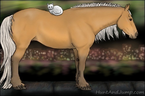 Horse Color: Silver Buckskin 