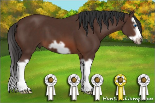 Horse Color: Bay Splash Frame 