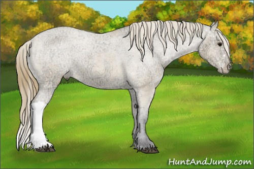 Horse Color: Buckskin Ice Varnish 