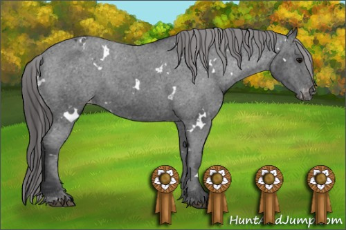 Horse Color: White Spotted Brown Blanket 