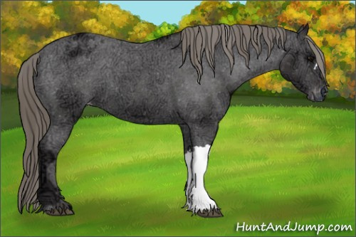 Horse Color: Buckskin Ice Blanket 