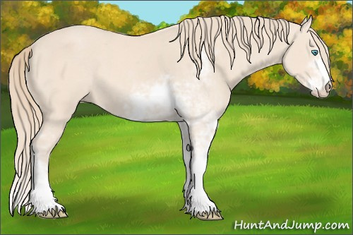 Horse Color: Perlino Sabino 