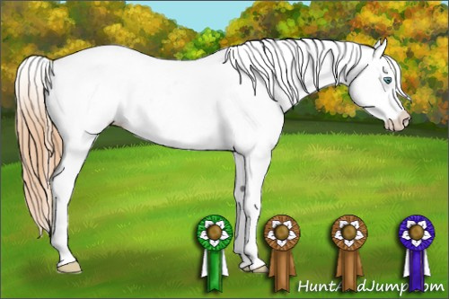 Horse Color: Smoky Grullo Pearl Sabino Blanket Rabicano 
