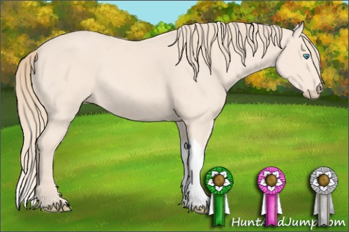 Horse Color: Perlino 