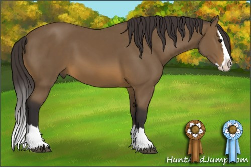 Horse Color: Buckskin Sabino Splash 