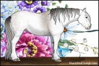 Horse Color:Gray White Spotted Classic Champagne 