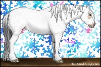 Horse Color:White Spotted Bay Dun Splash Frame 
